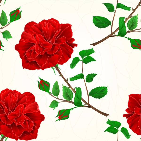 Nahtlose Textur rote Rosenrisse im Porzellan Vintage Vektor — Stockvektor