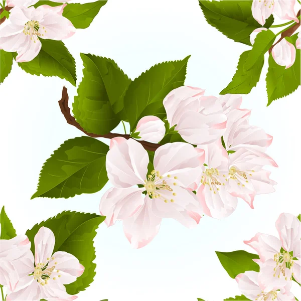 Texture sans couture Brindilles de fleur de pomme avec des feuilles vecteur vintage — Image vectorielle