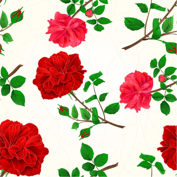Textura sem costura rosas vermelhas rachaduras no vetor vintage porcelana —  Vetores de Stock