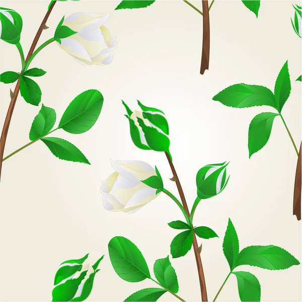 Textura inconsútil brotes blanco Rose tallo con hojas vector vintage — Archivo Imágenes Vectoriales