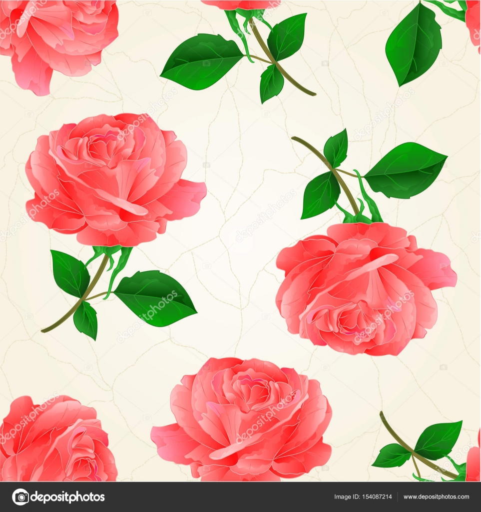 Ramoscello di rosa colore rosa del fiore senza giunte di struttura con foglie crepa pareggio dell annata della mano — Vettoriali di Tina5