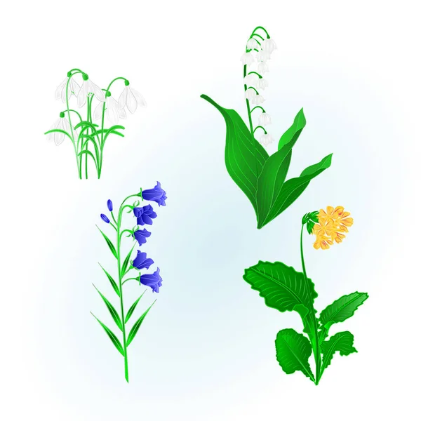 Flores de primavera lirio del valle, gotas de nieve, campanula bluebell y onagra vintage mano dibujar vector — Archivo Imágenes Vectoriales