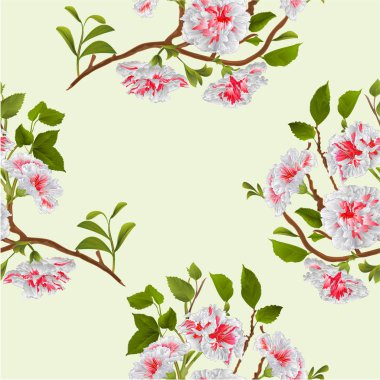 Sorunsuz doku şube beyaz hibiscus tropik çiçekler vintage el çizmek vektör