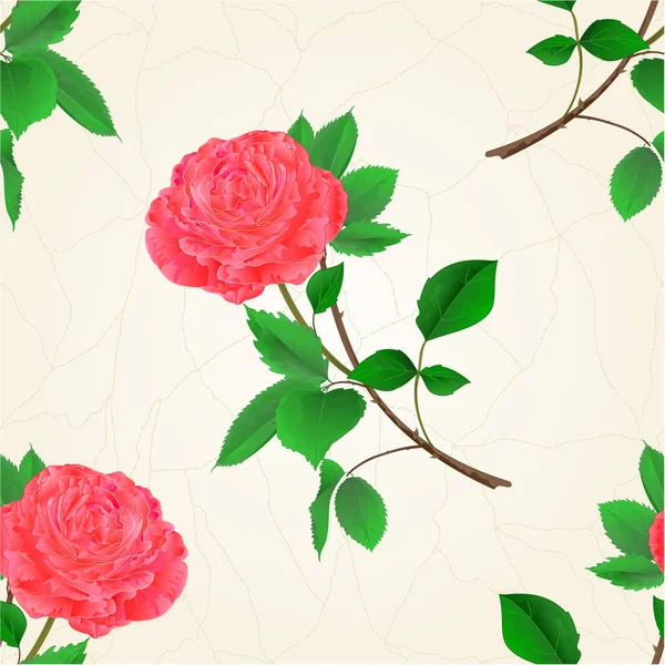 Bezešvých textur větvičku růžové růže květ s listy ročník vektor — Stockový vektor