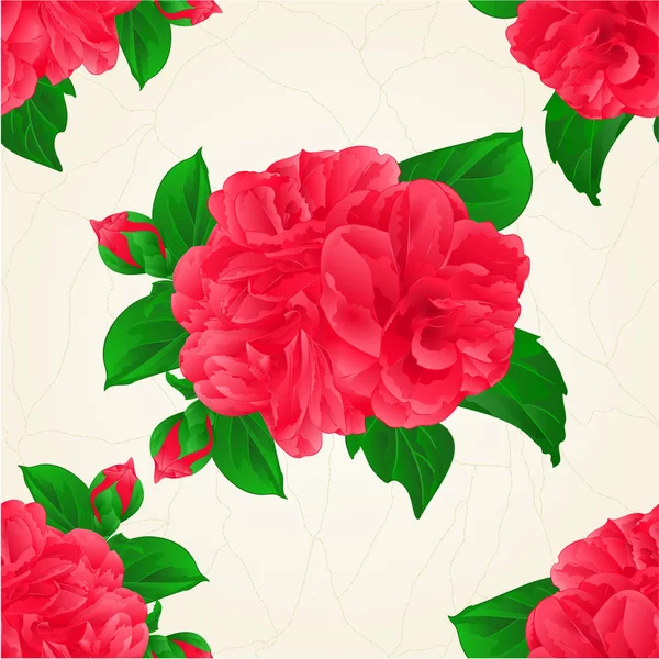 Textura sem costura Camellia Japonica flores vermelhas com botões vintage mão desenhar vetor — Vetor de Stock