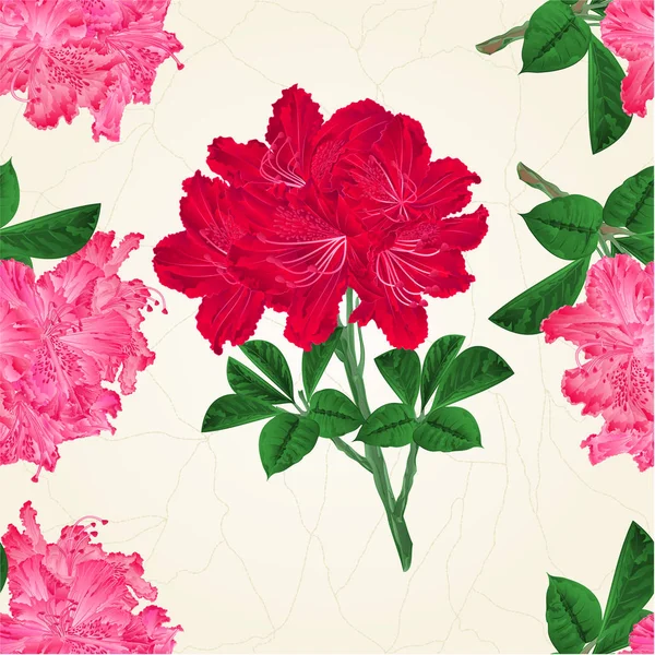 Seamless texture flowers pink and red rhododendrons twig Mountain shrub vintage vector