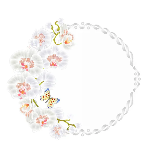 Yuvarlak Phalaenopsis orkide beyaz çiçekler tropikal bitki ile kare ve şirin küçük kelebek vintage Festival arka plan vektör çizim çiçek vektör 