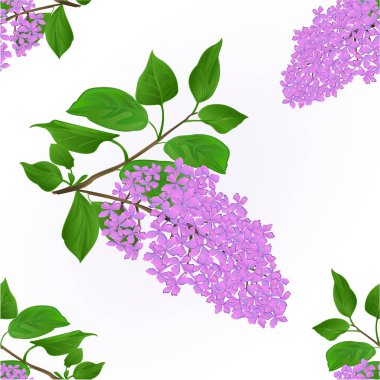 Sorunsuz doku leylak dal çiçek ve yaprakları vintage doğal plan vektör ile