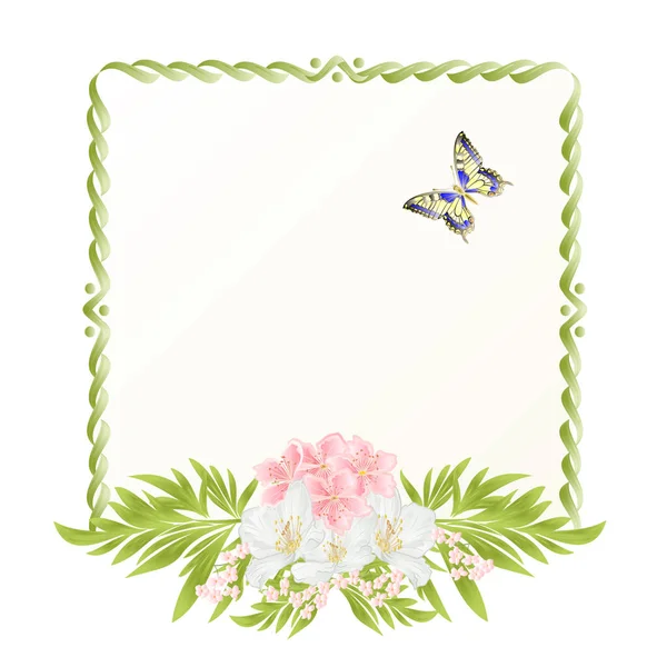 Marco flor de cerezo y jazmín con mariposas vintage festivo vector de fondo — Vector de stock
