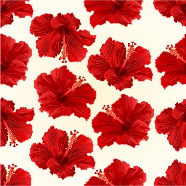 Sorunsuz doku kırmızı hibiscus basit tropikal çiçek vintage vektör çizim düzenlenebilir