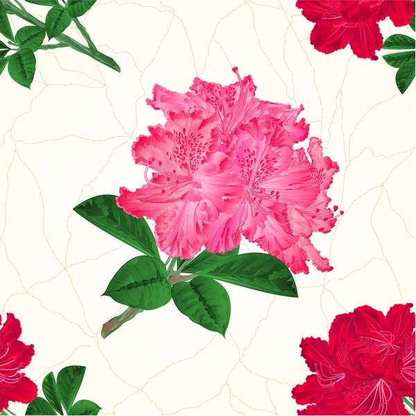 Nahtlose Textur Blüten rosa und rote Rhododendron Zweig Vintage Vektor Illustration — Stockvektor