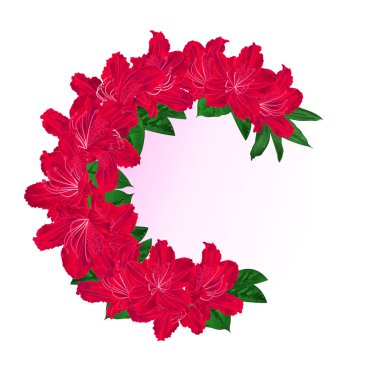 Çerçeve şenlikli buket kırmızı orman gülleri vintage tasarım vektör botanik çizim düzenlenebilir için 