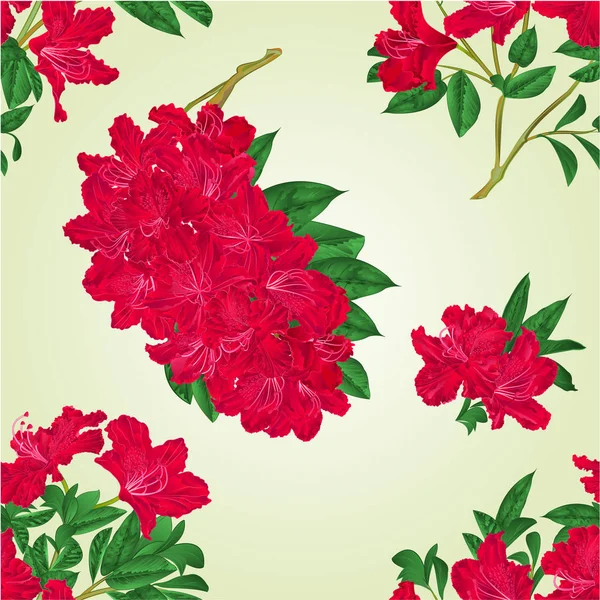 Рододендроны с бесшовной текстурой веток с красными цветами и листьями винтажных векторных ботанических иллюстраций — стоковый вектор