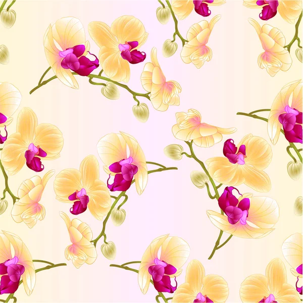 Nahtlose Textur schöne Orchidee gelben Stamm mit Blumen und Knospen Nahaufnahme Vektor editierbare Illustration — Stockvektor