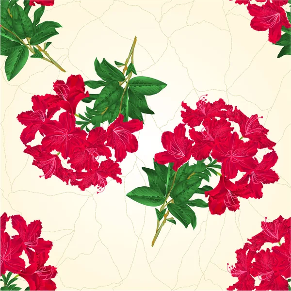 Textura sem costura ramo flores vermelhas rododendro vetor vintage fundo botânico ilustração editável — Vetor de Stock