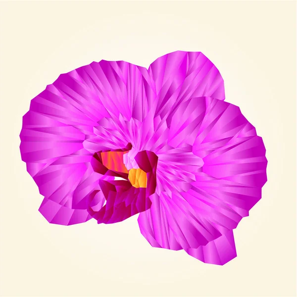 Lila Orchidee schöne Blume Polygone isoliert Vektor abstrakte Illustration — Stockvektor