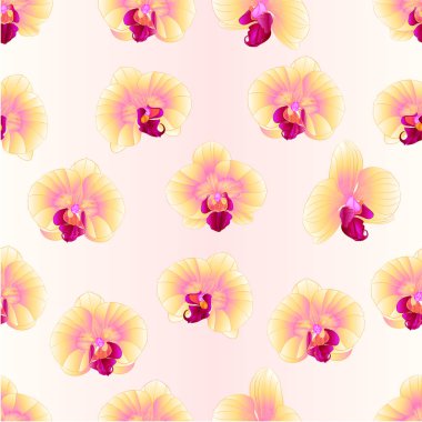 Sorunsuz doku sarı orkide Phalaenopsis güzel çiçekler vintage vektör düzenlenebilir çizim