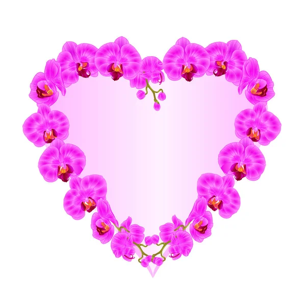 Storczyk Phalaenopsis fioletowe kwiaty roślin tropikalnych vintage botanicznych ilustracji wektorowych do projektowania, które można edytować w kształcie serca granicy — Wektor stockowy