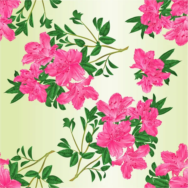 Naadloze textuur takje Roze rododendron met bloemen en bladeren vintage bewerkbare botanische vectorillustratie — Stockvector