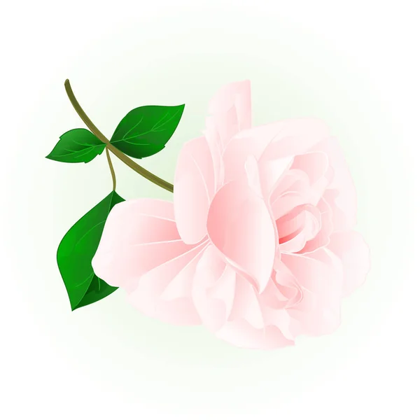 Rosa fiore rosa chiaro ramoscello con foglie natura fondo vintage vettore modificabile illustrazione — Vettoriale Stock