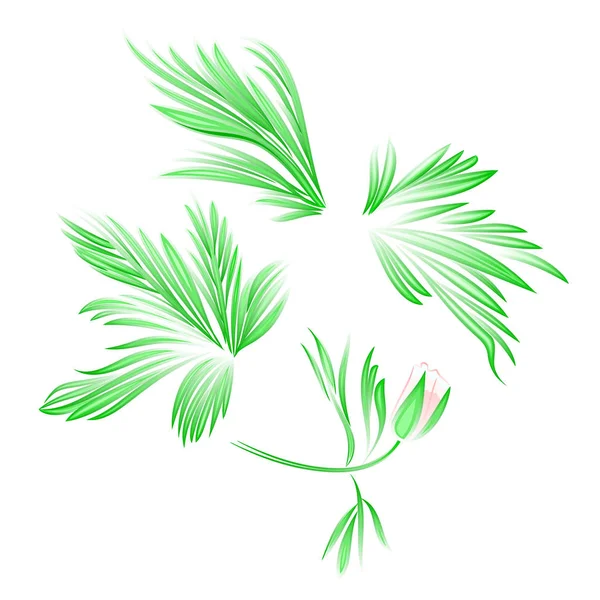 녹색 나뭇잎과 꽃 장식 빈티지 벡터 식물 그림 편집 — 스톡 벡터