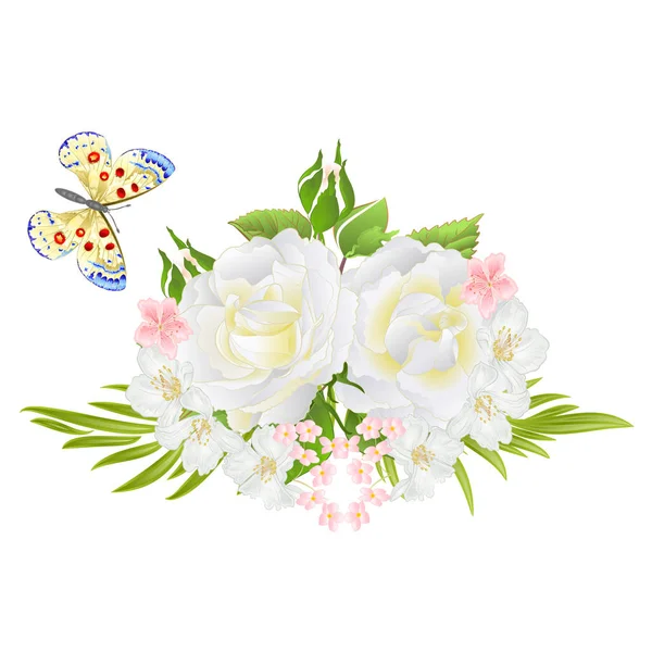 Flor rosas brancas e botões e borboleta vintage festivo fundo vetor ilustração editável — Vetor de Stock