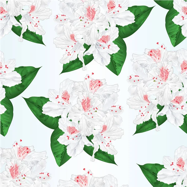 Květy bílé rododendron s listy ročník vektorové ilustrace upravitelné bezešvých textur — Stockový vektor