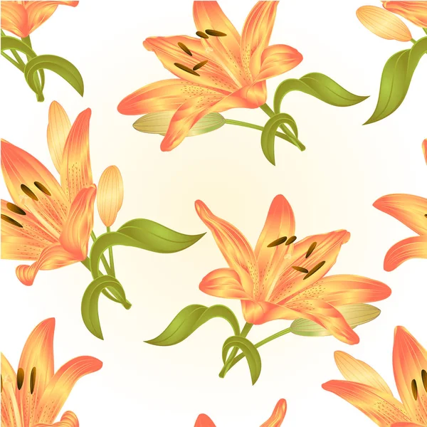 Textura inconsútil flor de lirio amarillo con hojas y brote sobre un fondo blanco vector ilustración editable — Vector de stock