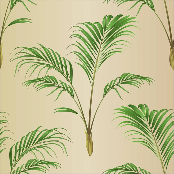Textura inconsútil Decoración de la palma planta vintage vector ilustración editable — Vector de stock