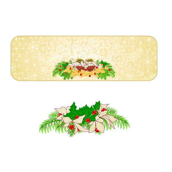 Banner Navidad decoración copos de nieve poinsettia con varios conos de pino y oro Holly vintage vector ilustración editable — Vector de stock