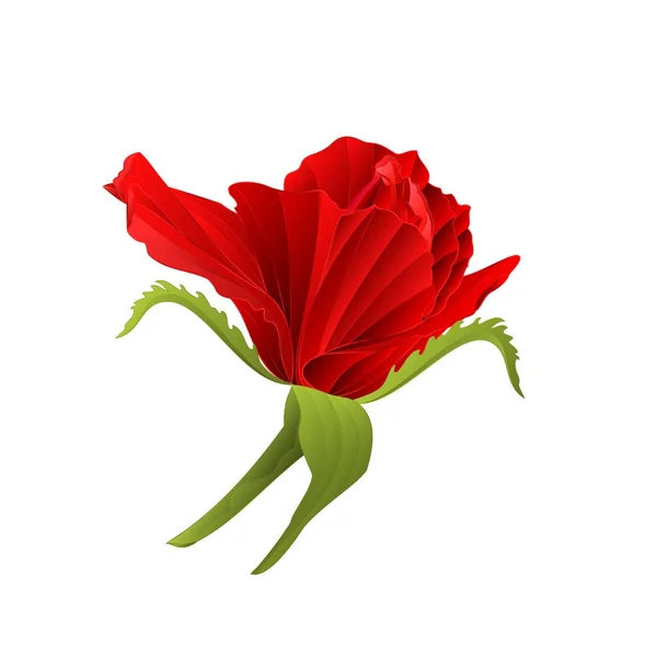 Rote Rose Blume Knospe Natur Hintergrund vintage Vektor Illustration editierbar — Stockvektor
