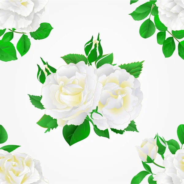 Smidig konsistens vita rosor med knoppar och blad vintage festliga bakgrund vektor botaniska illustration redigerbara — Stock vektor