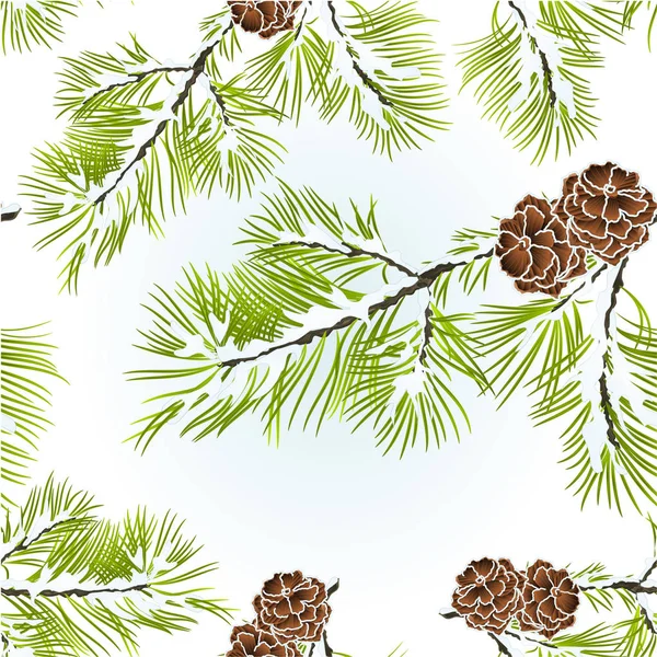 Tekstura conifer gałęzi sosny z szyszki zima snowy naturalne tło wektor ilustracja edytowalne — Wektor stockowy