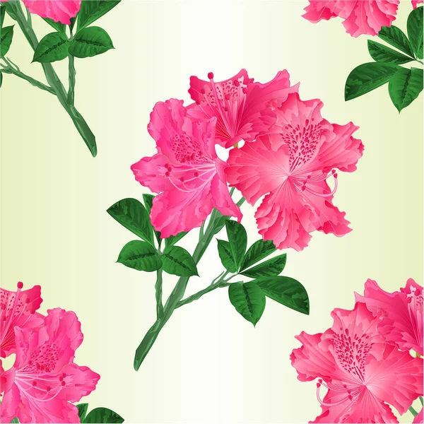 Seamless texture blossoms pink rhododendron shrub on a white background vintage vector illustration editable — Stock Vector