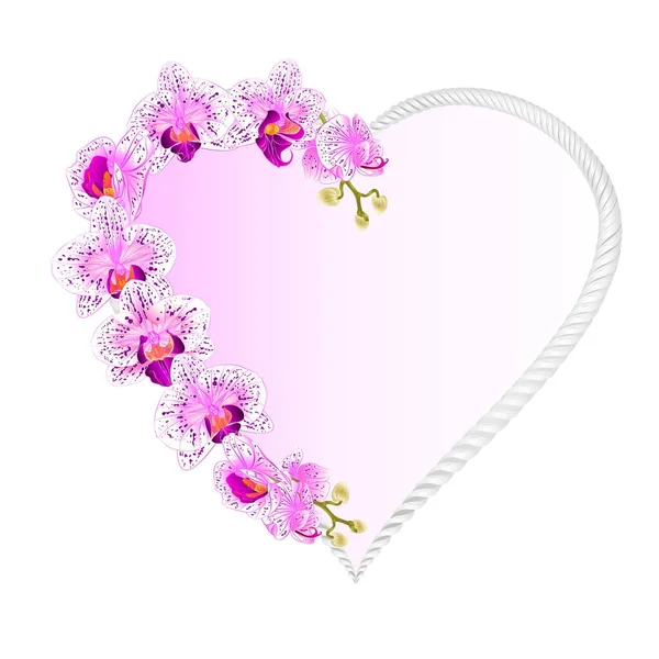 Cadre Orchidée en forme de coeur Phalaenopsis fleurs violettes et blanches plantes tropicales vintage vecteur illustration botanique pour la conception modifiable — Image vectorielle