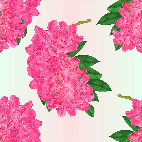 Rama de textura inconsútil flores rosadas rododendro arbusto de montaña vintage vector ilustración editable — Archivo Imágenes Vectoriales