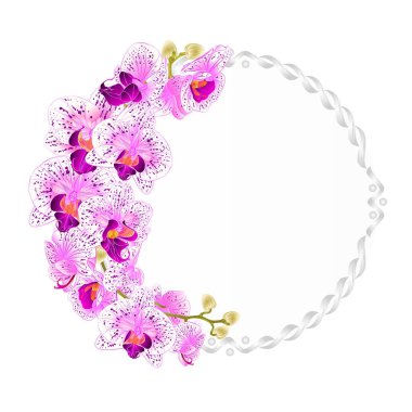 Çiçek vektör çerçeve ile orkide mor yuvarlak ve çiçekler tropik bitkiler Phalaenopsis vintage Festival arka plan vektör çizim el beyaz