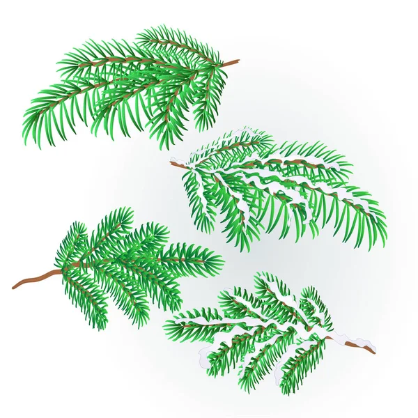 Takken vuren weelderige conifer herfst en winter besneeuwde natuurlijke achtergrond vectorillustratie bewerkbare — Stockvector