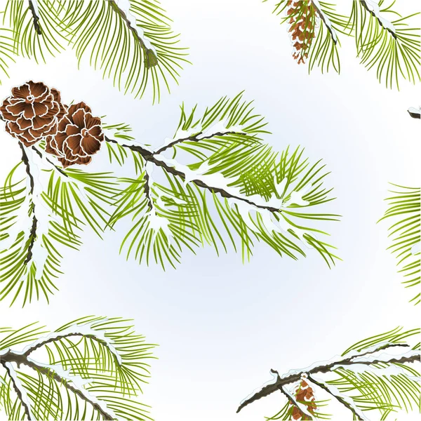 Textura sem costura branco Pinheiro ramos com pinho cone inverno nevado natural fundo vintage vetor ilustração editável — Vetor de Stock