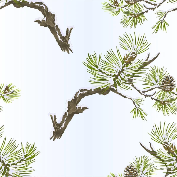 Seamless texture pine branches and cones needles and snow  vintage vector botanical illustration for design editable — Stock Vector