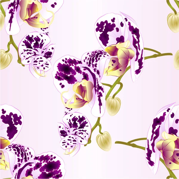 Texture Sans Couture Belle Orchidée Tachetée Tige Blanche Violette Avec — Image vectorielle