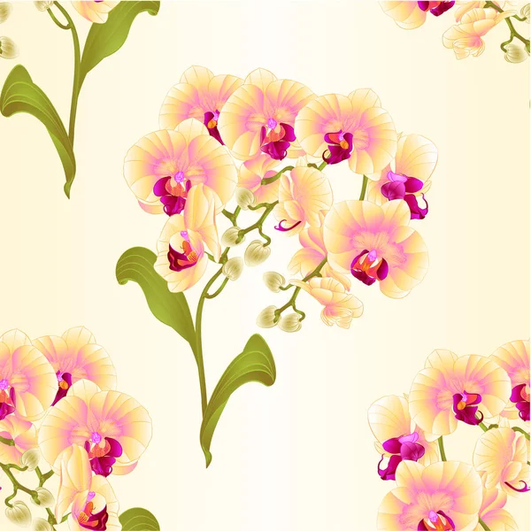 Nahtlose Textur Zweige Orchidee Phalaenopsis Gelb Blumen Tropische Pflanzen Grünen — Stockvektor