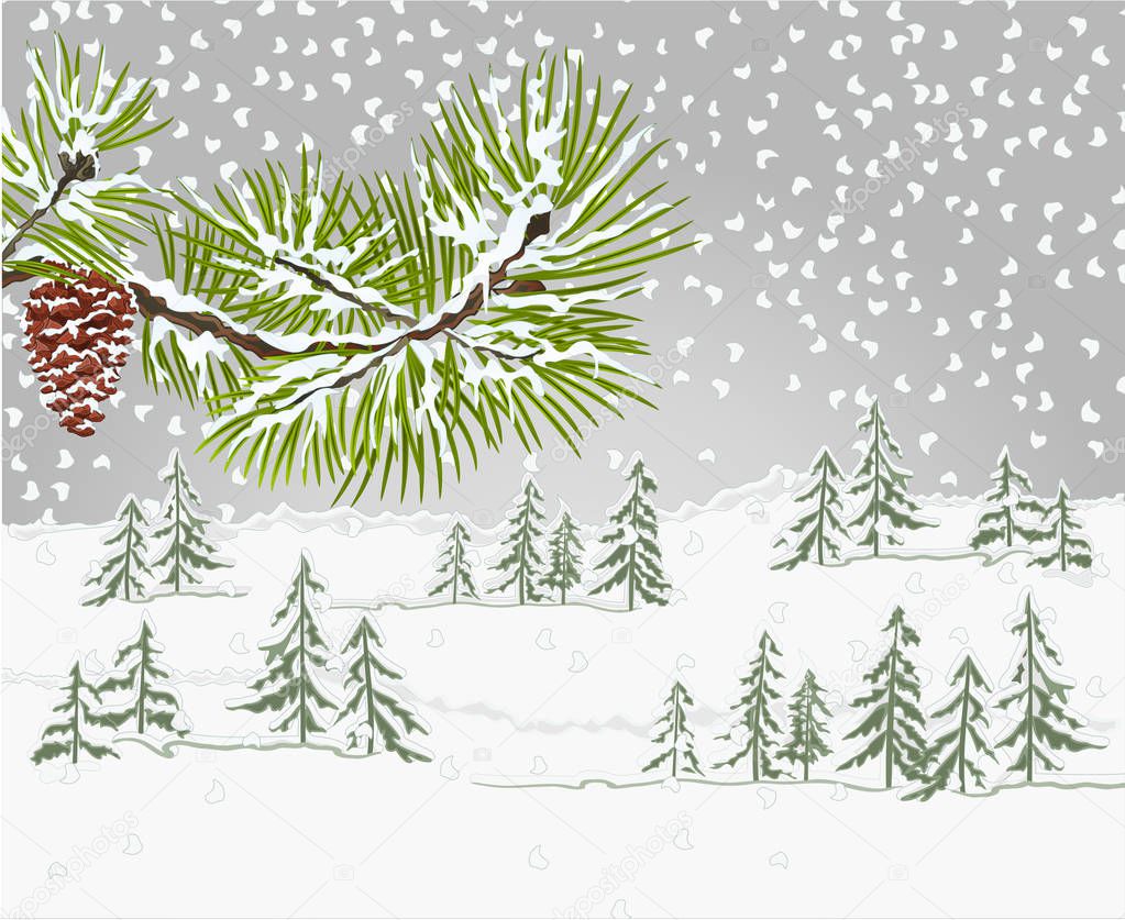 Winter landscape forest and pine  branch and pine cone  snowy  natural background vector illustration editable hand draw
