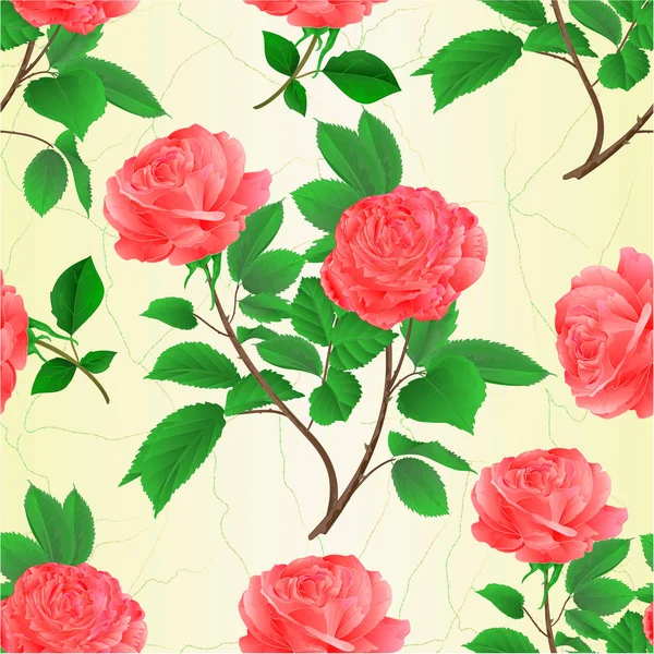 Texture Sans Couture Roses Roses Fleurs Brindilles Avec Feuilles Nature — Image vectorielle
