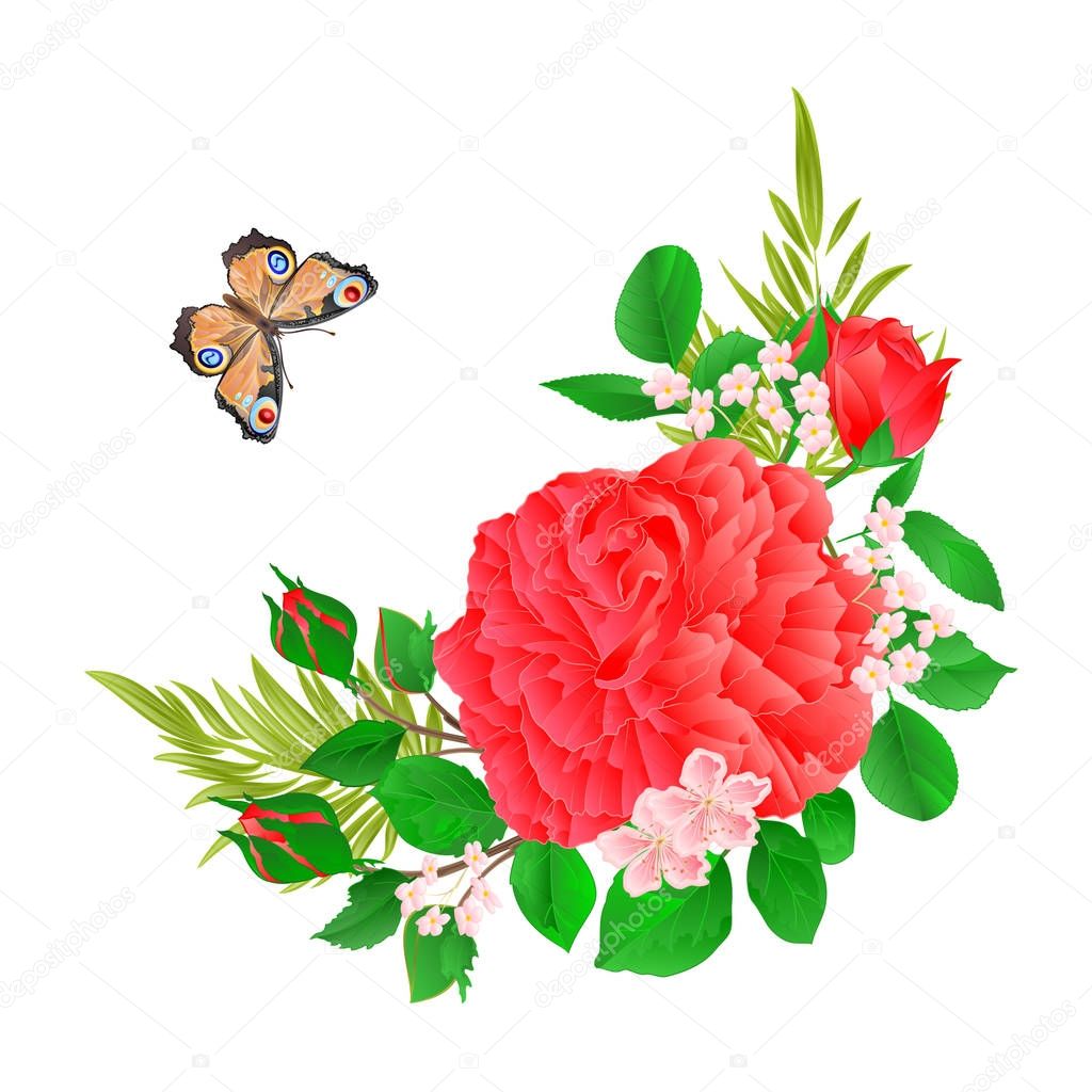 Download Drawings: rose and butterfly | Floral Frame Pink Rose ...