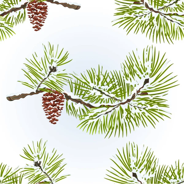 Nahtlose Textur Kiefer Und Kiefernzapfen Zweig Winter Schneebedeckt Natürlichen Hintergrund — Stockvektor