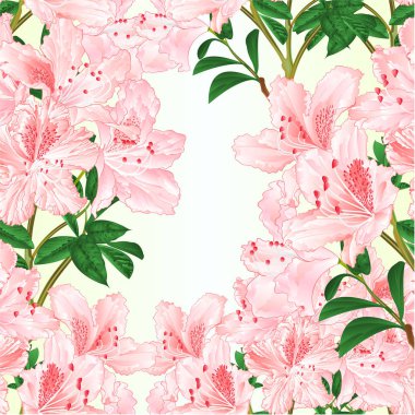 Sorunsuz doku hafif pembe ormangülü şube dağ çalı vintage vektör çizim düzenlenebilir el çizmek