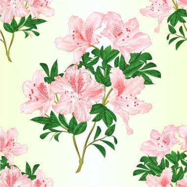 Seamless texture light pink flowers rhododendron twig with leaves mountain shrub vintage vector illustration editable hand draw clipart