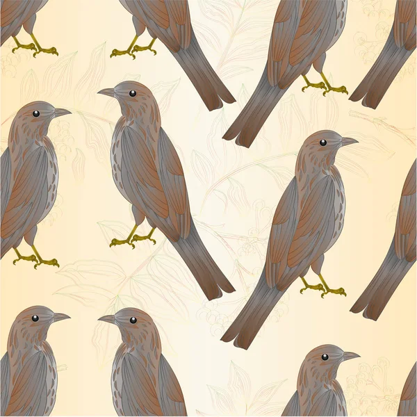 Bezešvých Textur Drozd Zpěvný Pták Wildlife Pták Větvička Jeřabinovo Listy — Stockový vektor