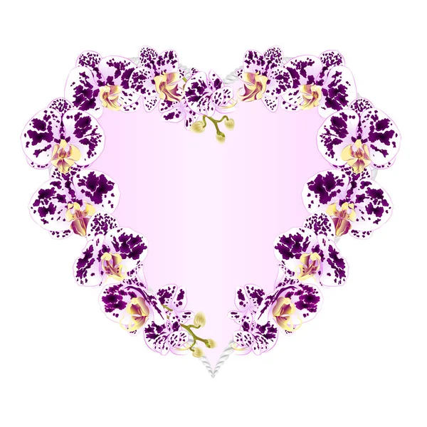 Frame Heart Shaped Orchids Phalaenopsis Spotted Purple White Flowers Tropical — Stock Vector